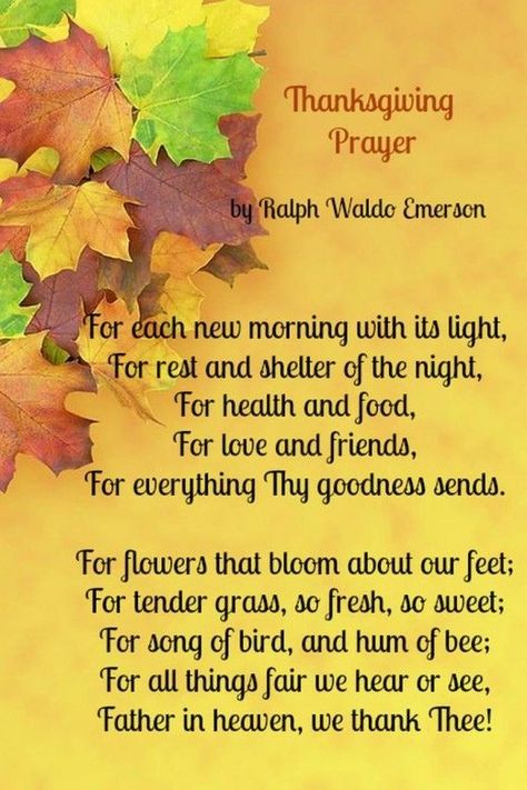 Thanksgiving Prayer Poem by Ralph Waldo Emerson #churchsource #ThanksgivingPrayer #Prayer #givethanks Thanksgiving Prayers For Family, Thanksgiving Prayers, Thanksgiving Poems, Prayers For Family, Prayer Pictures, Prayer Poems, Thanksgiving Prayer, Thanksgiving Blessings, Thanksgiving Wishes