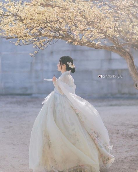 Korean Hanbok Aesthetic, Korean Wedding Dress Traditional, Hanbok Traditional Royal, Korean Hanbok Princesses, Princess Outfits Royal, Hanbok Photoshoot, Hanbok Aesthetic, Hanbok Wedding Dress, Korean Traditional Dress Hanbok