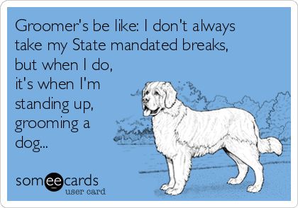 Groomer's be like: I don't always take my State mandated breaks, but when I do, it's when I'm standing up, grooming a dog... Dog Groomer Humor, Groomer Humor, Dog Grooming Styles, Dog Grooming Shop, Creative Grooming, Dog Grooming Salons, Nora Ephron, Dog Grooming Tips, Grooming Style