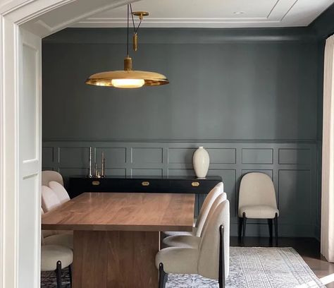 Farrow and Ball Down Pipe 26 work space Farrow And Ball Living Room, Dark Paint Colors, Farrow And Ball Paint, Farrow And Ball, Cottage Interiors, Wall Paint Colors, Interior Paint Colors, Little Greene, Dining Room Walls