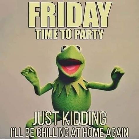 Home Resort, Friday Meme, Party Quotes, It's Saturday, Dinosaur Pictures, Disney Fun Facts, Its Friday Quotes, Kermit The Frog, Friday Humor