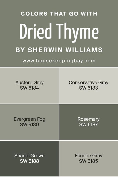 Colors that Go With Dried Thyme SW 6186 by Sherwin Williams Rosemary Sw, Austere Gray, Escape Gray, Evergreen Fog, Sherwin Williams Gray, Barn Apartment, Relaxation Station, Trim Colors, Dried Thyme