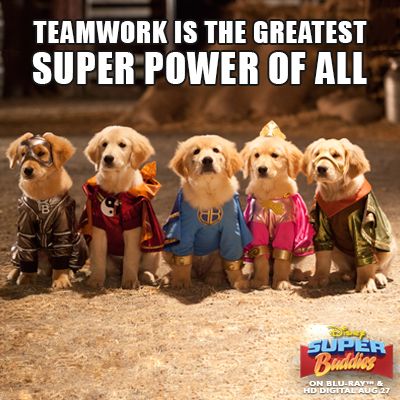 Teamwork is the greatest Super Power of All. Super Buddies, Air Buddies Movies, Spooky Buddies, Buddy Movie, Dog Animation, Talking Dog, Dog Movies, Leader In Me, Disney Dogs