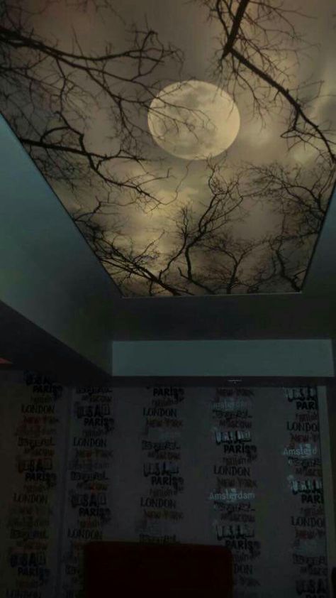 Gothic Ceiling Design, Ceiling Art Ideas, Avatar Bedroom, Black Gothic Bedroom, Ceiling Painting Ideas, Balcony Conservatory, Diy Ceiling Paint, Camper Ceiling, Ceiling Mural