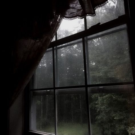 Dark Naturalism, Dark Cottagecore, Dark Paradise, Brasov, Dark Academia Aesthetic, Academia Aesthetic, Nature Aesthetic, Green Aesthetic, The Window