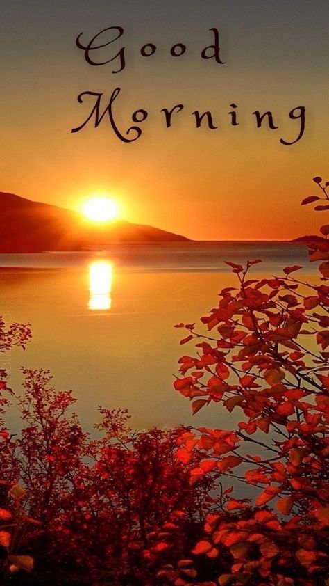 Good Morning Fall Images, Sunrise Good Morning, Good Morning Fall, Fall Pics, Good Morning Greeting Cards, Beautiful Good Morning, Good Morning Beautiful Gif, Good Morning Nature, Fall Images