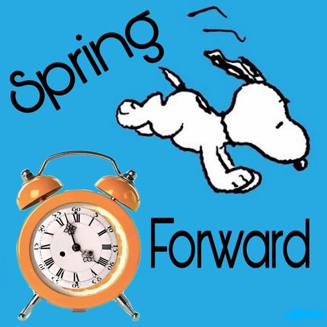 Snoopy Spring Forward, Spring Ahead Time Change Humor, Spring Ahead Time Change, Fall Back Time Change, Fall Back Time, Peanut Cartoon, Spring Forward Fall Back, Day Light Savings, Clocks Fall Back