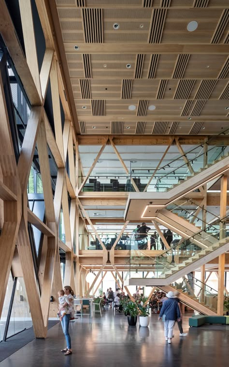 Mass Timber Architecture, Timber Facade, Architecture Jobs, Mass Timber, Innovation Hub, Laminated Veneer Lumber, Timber Architecture, Timber Buildings, Community Centre