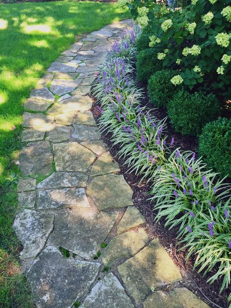 My liriope, boxwood and hydrangea lined pathway. I’m working on moss between the stones Boxwood Landscaping, Pathway Landscaping, Limelight Hydrangea, Front Yard Design, Garden Walkway, Front Landscaping, Stone Path, Front Yard Garden, Garden Pathway