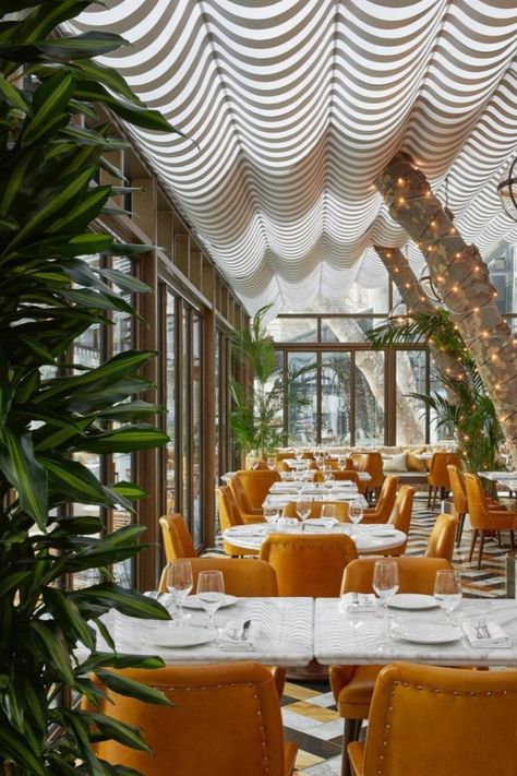 The Novikov Cafe was designed by MDBS (Martin Brudnizki Design Studio) and it features a white, orange and brown colour palette, with a natural green touch brought by the interior plants. The inviting leather chairs are calling for us to enjoy a good meal! Do you hear it? For more restaurant design, visit our blog by clicking on the pin! Orange Restaurant, Orange Cafe, Martin Brudnizki, Greens Restaurant, Restaurant Concept, Paris London, Cafe Interior Design, Restaurant Interior Design, Hotel Design