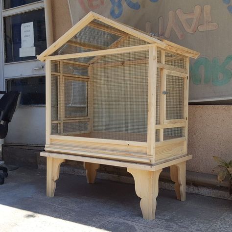 Diy Aviary, Diy Bird Cage, Bird Cage Design, Parakeet Cage, Pet Bird Cage, Woodworking Projects For Beginners, Bird Aviary, Bird Cage Decor, Small Woodworking Projects