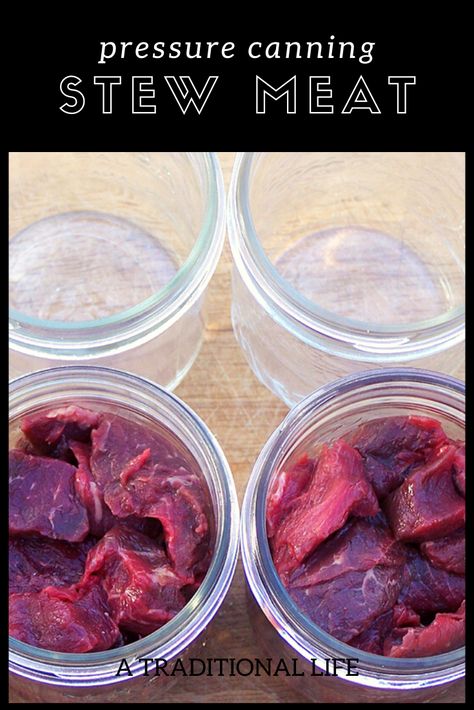 Canning Stew, Meat Canning, Bison Stew, Pressure Canning Meat, Canning Meat, Best Salsa Recipe, Diy Canning, Food Prepping, Pressure Canning Recipes