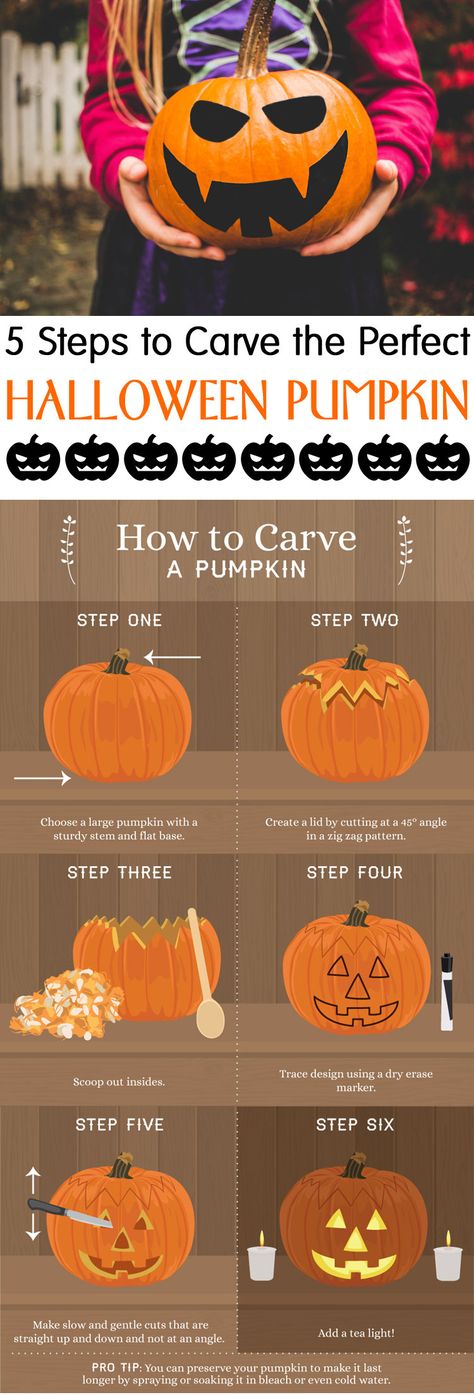 Pumpkin Carving Step By Step, Carving A Pumpkin, Pumpkins Preschool, Traditional Pumpkin, Pumpkin Designs, Large Pumpkin, Diy Apartment Decor, Nice Art, Paring Knife