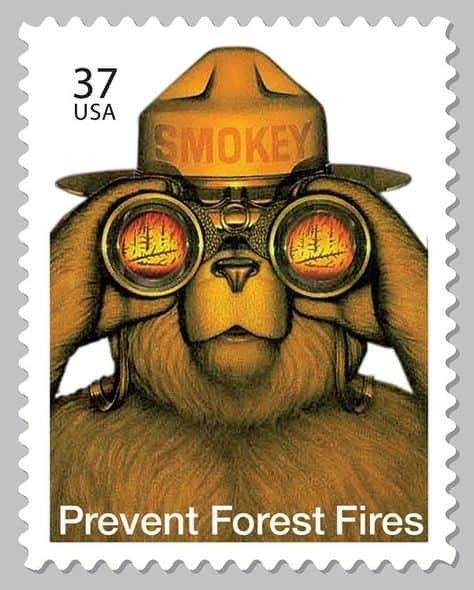 Smoky Bear, Postage Stamp Collecting, Smokey The Bear, Smokey Bear, Usa Stamps, Wildland Firefighter, Smokey The Bears, Commemorative Stamps, Postage Stamp Art