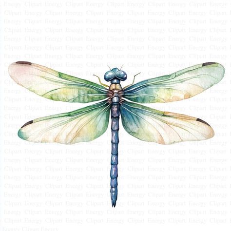 Dragonfly Clipart 5 High Quality Jpgs Digital Download Insect Art Watercolor Dragonfly Printable Artwork Junk Journals Clipart - Etsy Australia Dragonfly Drawing Watercolor, Dragon Fly Watercolor Dragonfly Painting, Dragon Fly Paintings, Dragon Fly Drawings, Dragon Fly Watercolor, Dragonfly Tattoo Stencil, Dragonflies Artwork, Dragonfly Outline, Watercolour Dragonfly