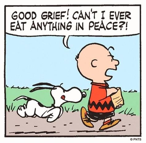 Snoopy Printable, Peanuts Quotes, Charlie Brown Quotes, Charlie Brown Characters, Peanuts Party, Whatsapp Plus, Brown Quotes, Snoopy Comics, Snoopy Cartoon