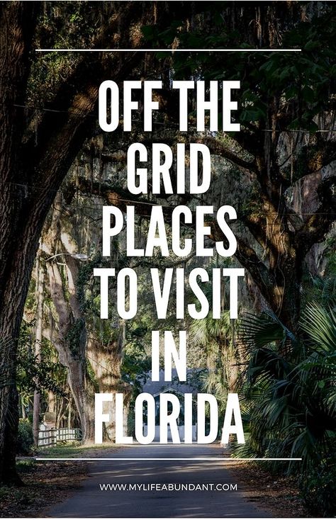 Heading to Central Florida soon? See where some of our fav places to visit are #RoadTripOil ad Haines City Florida, Places To Visit In Florida, Maui Hotels, Florida Destinations, Maui Vacation, Adventure Vacation, Travel Activities, Florida Travel, Ireland Travel