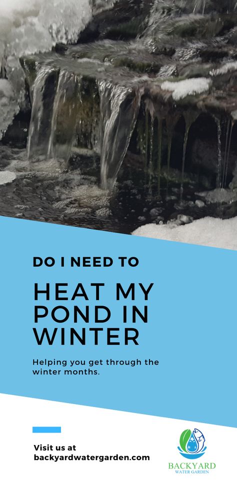 Pond Heater, Patio Yard Ideas, Pond Diy, Diy Ponds Backyard, Pond Decor, Ponds For Small Gardens, Pond Netting, Pond Maintenance, Backyard Ponds