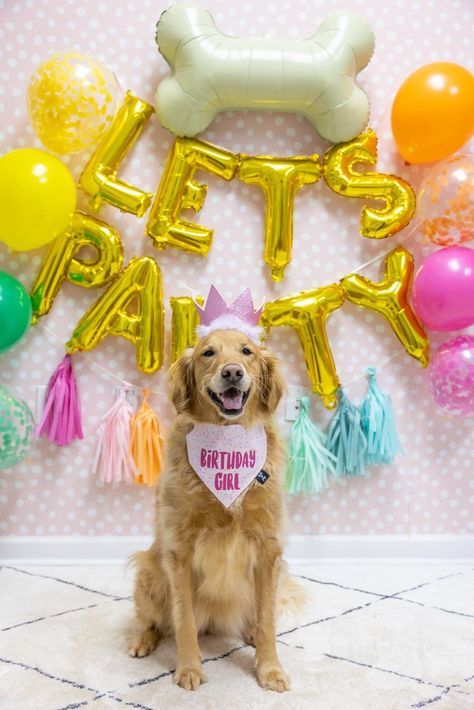 Simple Dog Birthday Decorations, Female Dog Birthday Party Ideas, Dog Park Birthday Party, Pink Dog Birthday Party, Dog 2nd Birthday Photoshoot, Dog Birthday Backdrop, Dog 1st Birthday Photoshoot, Gotcha Day Party Dog, Birthday Party For Dog