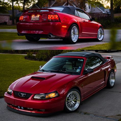 99-04 Mustang GT Mustang S197, Ford Fox, 04 Mustang, Sn95 Mustang, Surprise Date, Mustang Gt, Whips, Ford Mustang, Muscle Cars