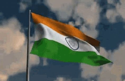 I Love My India GIF – I Love My India – discover and share GIFs Republic Day Drawing, Drawing Gif, Flag Gif, Angel Wings Drawing, Indian Flag Images, Independence Day Background, Wallpaper Photo Gallery, Wings Drawing, Hindu Dharma