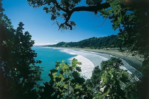 Nelson New Zealand, Bay Of Plenty, Island Tour, New Zealand Travel, Beach Town, Beach Look, Glamping, Places To See, Kayaking