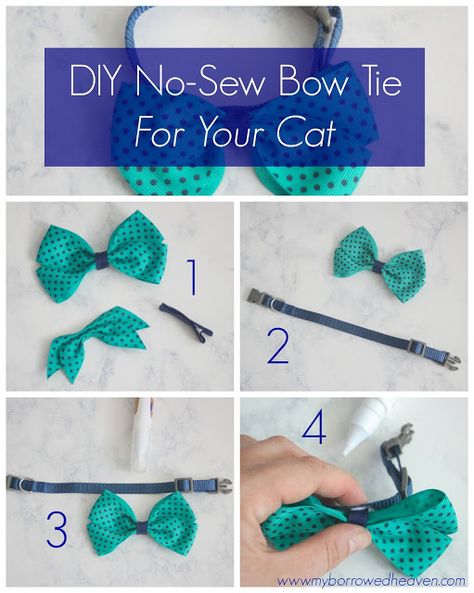 DIY No-Sew Bow Tie For Your Cat: it takes only a few minutes to follow this tutorial and create this piece that attaches right to your pet's collar #OneStopKittyShop #ad Fancy Cat Collar Diy, Cat Bow Tie Diy, Cat Bowtie Diy, Cat Bow Tie Pattern, Cat Tie Pattern, Diy Kitten Collar, Diy Cat Collar How To Make, Pet Neckwear Diy, Diy Cat Clothes Pattern Free Sewing