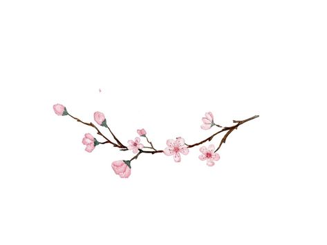 Cherry Blossom Stem Tattoo, Simple Sakura Tattoo, Chinese Plum Blossom Tattoo, Cherry Blossom Tattoo Ribs, Tiny Cherry Blossom Tattoo, Cherry Blossom Underboob Tattoo, Cherry Blossom Collar Bone Tattoo, Cherry Blossom Tattoo Simple, Sakura Branch Tattoo