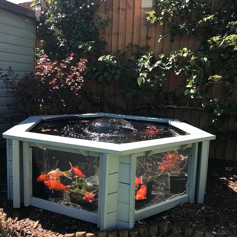 Garden Aquarium, Deck Plans, Backyard Diy Projects, Ponds Backyard, Exterior Ideas, Fish Pond, Dream Backyard, Backyard Projects, Koi Pond