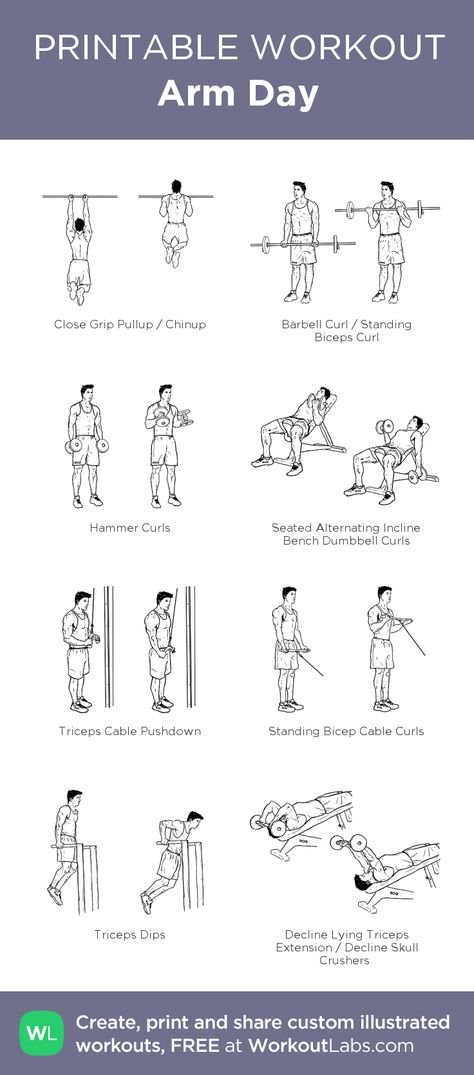 Arm Day: my visual workout created at WorkoutLabs.com • Click through to customize and download as a FREE PDF! #customworkout Arms Day Gym, Arms Day Workout, Arm Day Workout Gym, Killer Arm Workout, Arm Workout Routine, Arm Day Workout, Gym Plans, Workout Labs, Workout Men