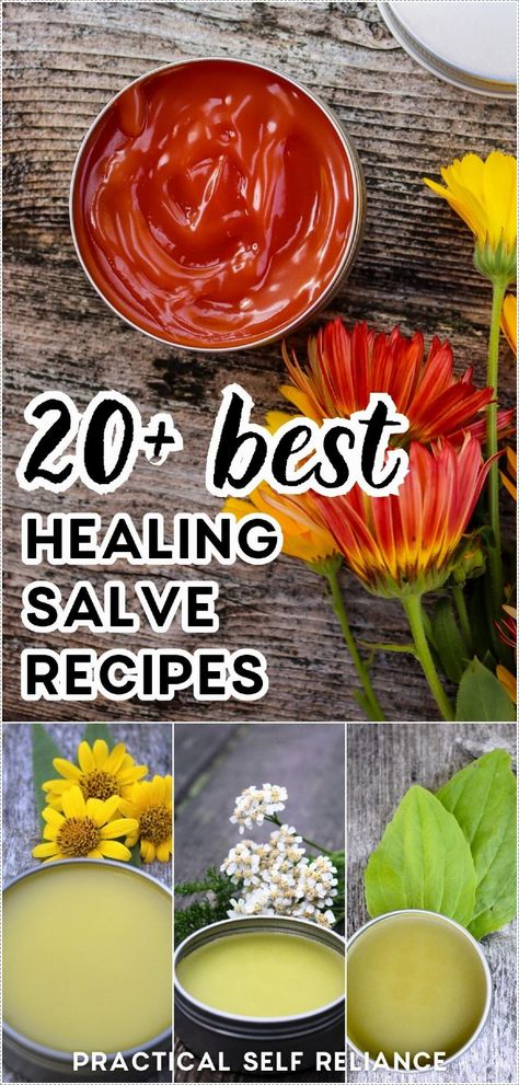 Discover the magic of herbalism with this collection of over 20 healing salve recipes. Unveiling the secrets of various herbs for health, this compilation offers an assortment of natural remedies to soothe, heal, and nourish. Whether you're an herbalism novice or a seasoned enthusiast, this selection promises to deepen your understanding of medicinal plants and their uses. Find more Natural Remedies at Practical Self Reliance. Homemade Apothecary, Herbalist Remedies, Herbal Oil Recipes, Homemade Salve Recipes, Medicinal Plants And Their Uses, Herbal Salve Recipes, Plants And Their Uses, Comfrey Salve, Healing Salve Recipe