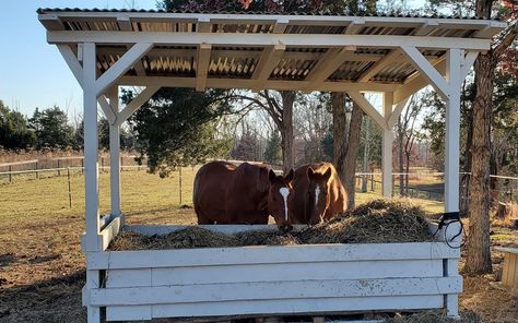 Cow Pasture Ideas, Cow Pasture, Blessed Assurance, Homestead Farm, Animal Shelters, Horse Farm, Horse Farms, Animal Shelter, Cow