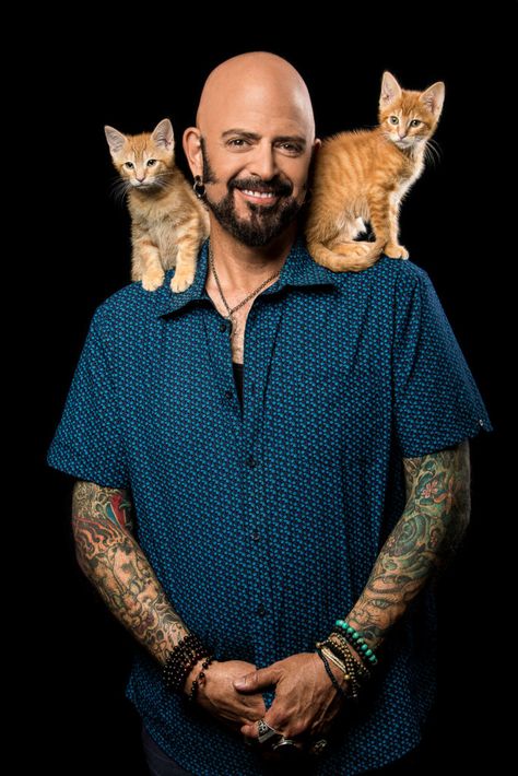 Jackson Galaxy, Cat Info, Getting Back In Shape, Cat People, Cat Behavior, The Time Is Now, Animal Planet, All About Cats, Cat Pin