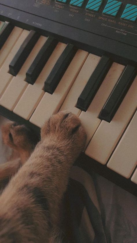 Piano Concert Aesthetic, Violin Wallpaper Aesthetic, Vintage Piano Aesthetic, Aristocats Aesthetic, Music Lover Aesthetic, Cute Piano, Piano Wallpaper, Piano Aesthetic, Christian Concert