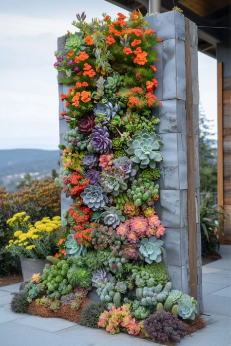 Hanging Succulents Outdoor, Cascading Succulents, Interior Green Wall, Hippie Garden Ideas, Succulent Landscape, Succulent Wall Garden, Desert Gardens, Vertical Succulent Gardens, Hippie Garden