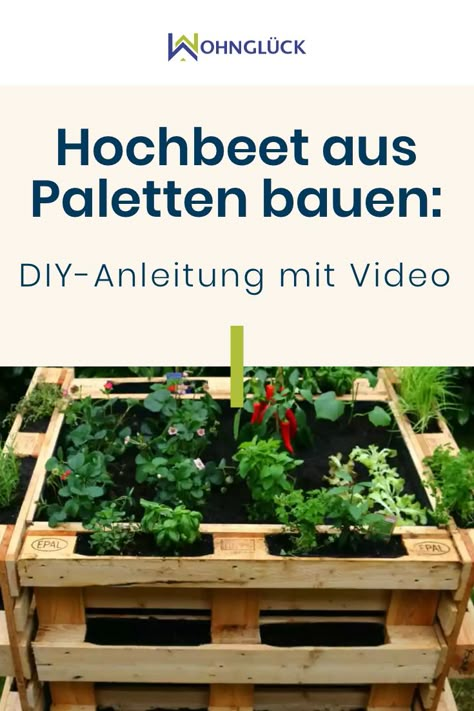 Ein Hochbeet aus Paletten bauen – das geht ganz einfach. Sari und Christian haben es ausprobiert und liefern euch ein DIY – inklusive Video-Anleitung. Building Raised Beds, Building Raised Garden Beds, Building A Raised Garden, Most Beautiful Gardens, Pallets Garden, Pallet Crafts, Pallet Garden, Raised Bed, Garden Bed