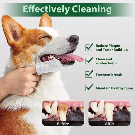 Premium Dental Care Wipes for Dogs & Cats - SYWIPE Manufacturers Teeth Hygiene, Pet Dental Care, Pet Branding, Pet Wipes, Dog Salon, Dog Yoga, Dog Dental, Teeth Care, Dog Teeth