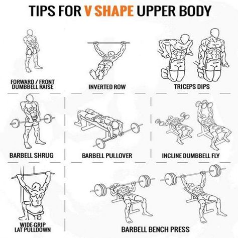 V Shape Workout Men, V Shape Workout, Mens Full Body Workout, V Shape Body, Shape Workout, Workouts Exercises, Workout Men, Gym Workout Guide, Workout Program Gym