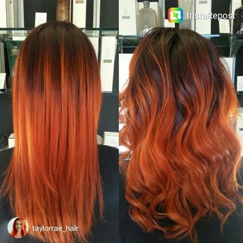 Dark Roots Copper Ends, Orange Ombré Hair, Bright Copper Hair Dark Roots, Balayage Orange Hair, Orange Bayalage Hair, Brown To Copper Ombre, Orange Hair Ombre, Brown To Orange Ombre, Orange Balayage Hair