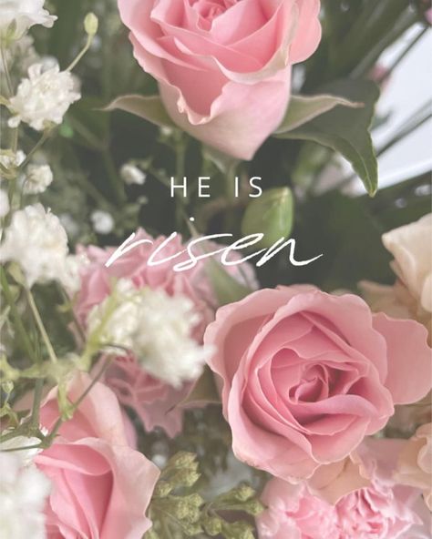 Happy Easter! He is Risen 🐥🌷✝️ He Is Risen Pink Wallpaper, He Is Risen Wallpaper Iphone Easter, Christian Easter Aesthetic, He Has Risen Easter Wallpaper, He Is Risen Wallpaper Aesthetic, He Is Risen Wallpaper Iphone, Easter Sunday Aesthetic, Resurrection Wallpaper, Easter Lockscreen