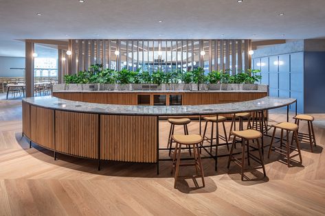 Linehouse converts an indoor pool into a flexible work space | Indesignlive Pool Changing Rooms, Flexible Work Space, Timber Screens, Stone Counters, Multifunctional Space, Traditional Office, Oak Panels, Social Space, Collaboration Space