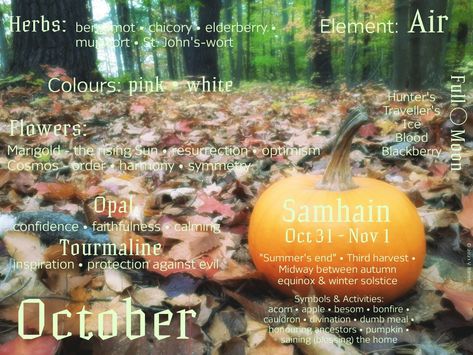 October Correspondences, January Correspondence, Monthly Correspondences, Wicca Holidays, Occult Knowledge, 2023 Journal, Witchy Planner, Blessed Samhain, Fall Family Fun