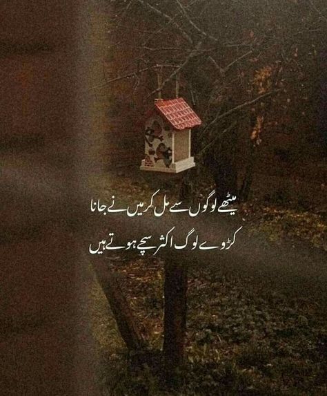 Naat In Urdu, Urdu Poetry In English, Urdu Lyrics, Ramadan Photos, Slowed Reverb, Cool Science Facts, Image Poetry, Saving Quotes, Beautiful Poetry