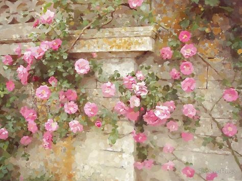 Watercolor Pink Climbing Roses Print by TataniaRosa Climbing Roses In Pots, Roses On Trellis, Pink Climbing Roses, Roses In Pots, Purple Climbing Roses, Pruning Climbing Roses, Rose Plant Care, Plants Care, Rose Rise