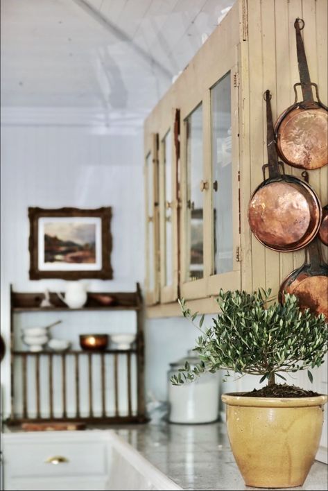 Courtney Allison, Large Farmhouse Table, Old World Kitchens, Olive Plant, French Vintage Decor, Kitchen Refresh, English Cottage Style, Cottage Kitchens, French Country Kitchen