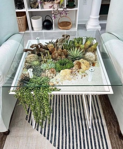 Blooming Table, Terrarium Table, Modern Terrarium, Dallas Apartment, Coffee Table Cover, Plant Table, Plant Decor Indoor, Terraria, House Plants Decor