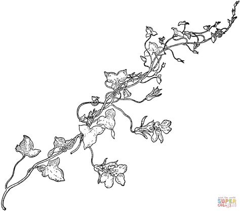 Snapdragon-Vine-coloring-page.gif (1484×1306) Vine Flowers Drawing, Dragon Vine Tattoo, Flowers Coloring Pages, Vine Flowers, Vine Drawing, Snapdragon Flowers, Pumpkin Tattoo, Flowers Coloring, Flowers Drawing