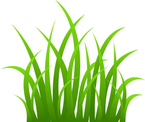 Cartoon Grass, Grass Clipart, Grass Drawing, Spring Clean Up, Diy Lawn, Lawn Care Tips, Types Of Grass, Clip Art Borders, Cartoon Clip Art