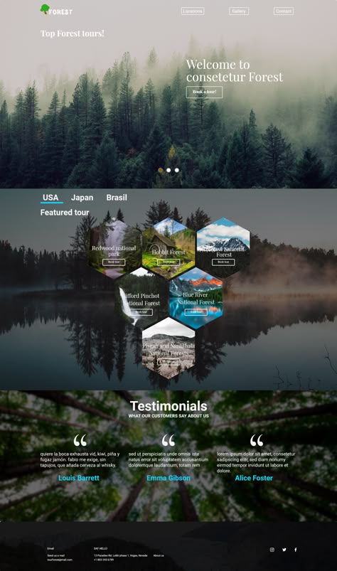 Forest Website Design, Web 3.0 Design, Cool Website Design, Tour Website, Webpage Design Layout, Web Design Landing Page, Travel Website Design, Unique Web Design, Design Web Page