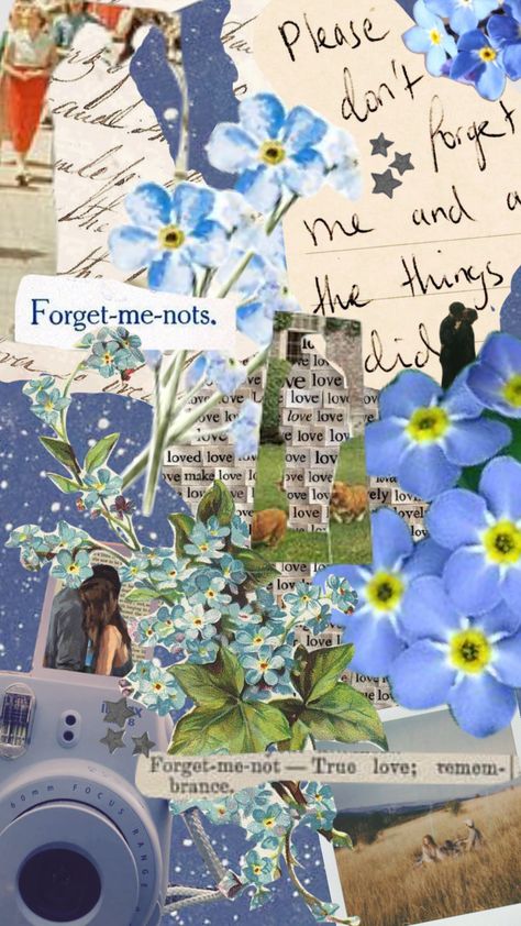 Aesthetic Forget Me Not, Dont Forget Me Aesthetic, Forget Me Nots Wallpaper, Forget Me Not Background, Forget Me Not Wallpaper Iphone, Forget Me Not Flower Aesthetic, Forget Me Not Aesthetic Wallpaper, Forget Me Not Flower Wallpaper, Forget Me Not Aesthetic